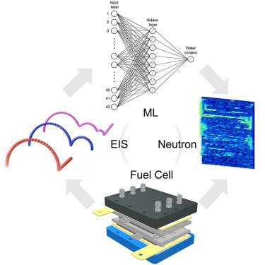 Water content estimation in polymer electrolyte fuel cells using synchronous electrochemical impedance spectroscopy and neutron imaging