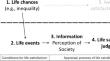 The Mediating Role of Perception of Society Between Income Inequality and Life Satisfaction. Insights from the European Social Survey