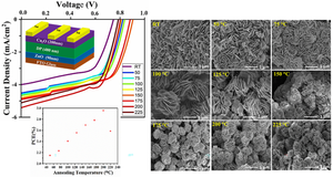 Morphological improvement of a novel & non-toxic double perovskite MA2NaBiCl6 by thermal annealing treatment: Enhanced the PCE of solar cell device