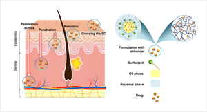 Skin Penetration and Permeation Properties of Transcutol<sup>®</sup> in Complex Formulations.