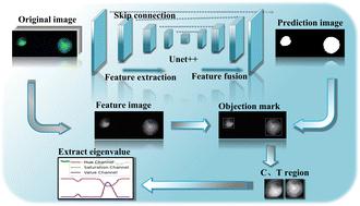 Deep learning assisted quantitative detection of cardiac troponin I in hierarchical dendritic copper–nickel nanostructure lateral flow immunoassay