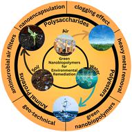 Greener nanobiopolymers and nanoencapsulation: environmental implications and future prospects