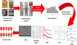 Facile synthesis of interpenetrating polymeric nexus for controlled drug delivery of 5-fluorouracil (5-FU)