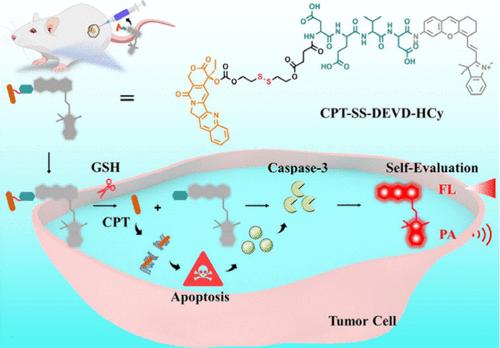 An Integrative Probe for Tumor Therapy and Dual-Modal Self-Evaluation Imaging of Therapeutic Efficacy