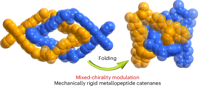 Mechanically rigid metallopeptide nanostructures achieved by highly efficient folding