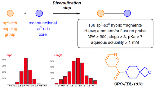 Accessing a Medicinal-Chemistry-Relevant Chemical Space with sp2–sp3 Hybrid Heterocyclic Fragments