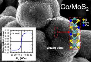 The magnetic states in cobalt-promoted MoS2 microspheres