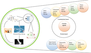 Unlocking the Potential of Spray Drying for Agro-products: Exploring Advanced Techniques, Carrier Agents, Applications, and Limitations