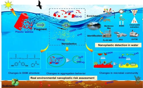 In Situ Identification and Visualization: The Next Qomolangma Till Nanoplastic Risk Calculated in Real Aquatic Ecosystems