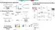 Microproteins unveiling new dimensions in cancer