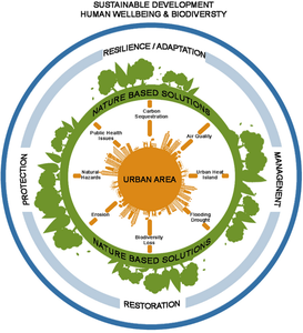 Evaluating the problems in urban areas from an ecological perspective with nature-based solutions