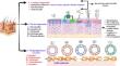 Beyond Skin Deep: Phospholipid-Based Nanovesicles as Game-Changers in Transdermal Drug Delivery.