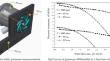 Analysis of energy losses and head produced by a radial impeller using particle image velocimetry