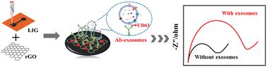 An rGO-doped laser induced graphene electrochemical biosensor for highly sensitive exosome detection