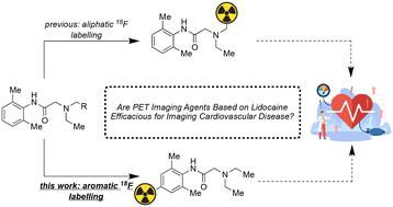 Automated radiosynthesis and preclinical imaging of a novel [18F]fluorolidocaine analogue via sequential C–H radiolabelling†