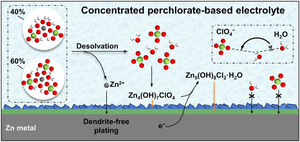 Concentrated perchlorate-based electrolyte facilitates Zn anode-compatible in situ solid electrolyte interphase