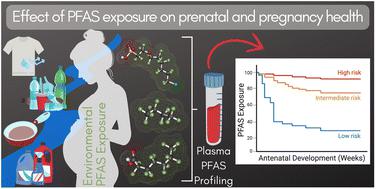 Pregnancy complications and birth outcomes following low-level exposure to per- and polyfluoroalkyl substances in the vitamin D antenatal asthma reduction trial†