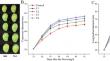 Transcriptome analysis to identify candidate genes that response to GA3 and CPPU treatments for mango fruit development