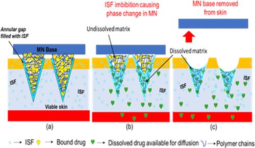 Modeling of Dissolving Microneedle-Based Transdermal Drug Delivery: Effects of Dynamics of Polymers in Solution