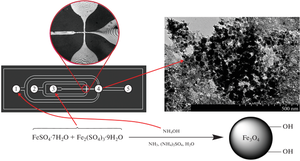 Microfluidic Synthesis of Magnetite Nanoparticles and its Comparison with Synthesis in a Batch Reactor