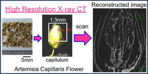 High-resolution X-ray computed tomography for identifying herbal medicines was as effective as microscopic examination.