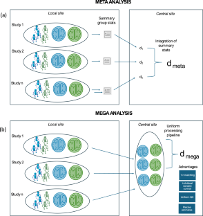 Harnessing mega-analysis in the era of "big data" neuroimaging.