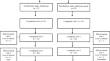 Hormonal and inflammatory responses in prepubertal vs. pubertal male children following an acute free-weight resistance training session