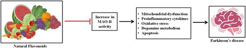 Dietary Natural Flavonoids: Intervention for MAO-B Against Parkinson's Disease