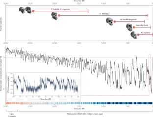 Past climate change effects on human evolution