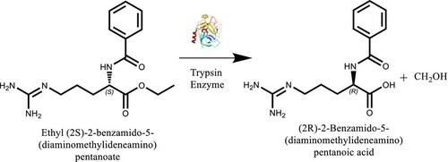 Crystal structure of the Michaelis complex of trypsin with N‐α‐benzoyl‐l‐arginine ethyl ester