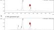 Pharmacokinetics of ganciclovir eye drops: a comparative study of solutions prepared from ganciclovir for intravenous infusion and ganciclovir gel.