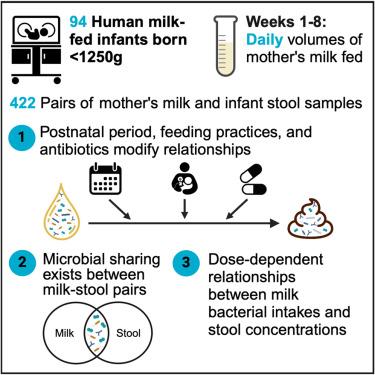 Mother's milk microbiota is associated with the developing gut microbial consortia in very-low-birth-weight infants.