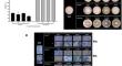 Increasing virulence and decreasing fungicide sensitivity in Phytophthora capsici after continuous metalaxyl-chlorothalonil exposure