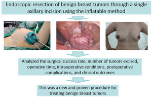 Endoscopic resection of benign breast tumors via a single axillary incision using the insufflation method: a preliminary summary report.