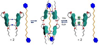 Acid/base responsive pseudo[3]rotaxanes from amine naphthotubes and bis-pyridinium/isoquinolinium guests.