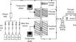 Denitrification characteristics and reaction mechanism of Ce-doped Fe-based catalysts from modified metallurgical dust containing iron