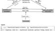 The effect of social anxiety on student interactions in asynchronous online discussion forums as mediated by social presence and moderated by anonymity