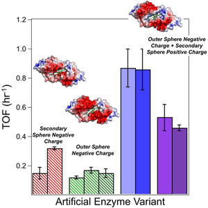 Understanding the role of negative charge in the scaffold of an artificial enzyme for CO2 hydrogenation on catalysis