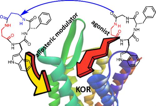 Identification of c[D-Trp-Phe-β-Ala-β-Ala], the First κ-Opioid Receptor-Specific Negative Allosteric Modulator