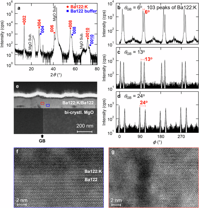 High tolerance of the superconducting current to large grain boundary angles in potassium-doped BaFe2As2