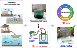 Treatment of contaminated river water by batch electrocoagulation system using aluminium and iron electrodes: Performance of process and statistical analysis