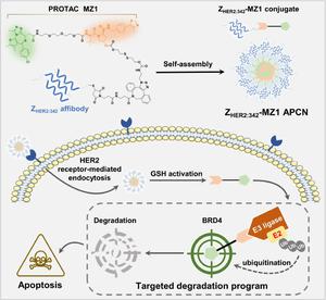 A self-assembled affibody-PROTAC conjugate nanomedicine for targeted cancer therapy