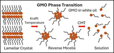 Impact of water and oleic acid on glycerol monooleate phase transition and bi-continuous structure formation in white oil†