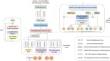 Enhanced side information fusion framework for sequential recommendation