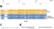 Identification of genes associated with the high-temperature fermentation trait in the Saccharomyces cerevisiae natural isolate BCC39850.