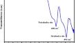 Investigation of local structure by X-ray absorption fine structure and magnetic properties of CoMn2O4 nanoparticles