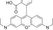 Doehlert matrix-based optimization of degradation of Rhodamine B in a swirling flow photolytic reactor operated in recirculation mode