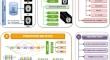 VDRNet19: a dense residual deep learning model using stochastic gradient descent with momentum optimizer based on VGG-structure for classifying dementia