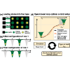 Optimal control transport of neutral atoms in optical tweezers at finite temperature