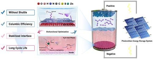 Bifunctional self-segregated electrolyte realizing high-performance zinc-iodine batteries